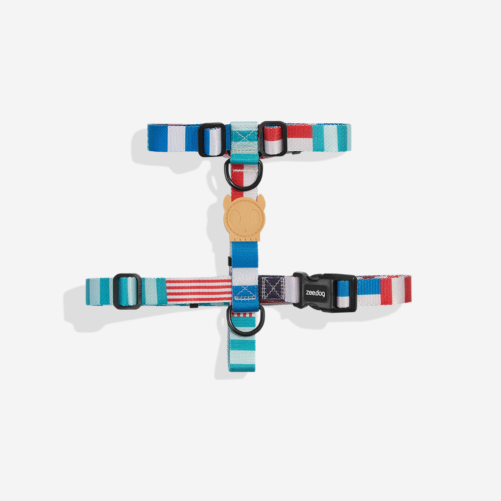 YACHT H-HARNESS
