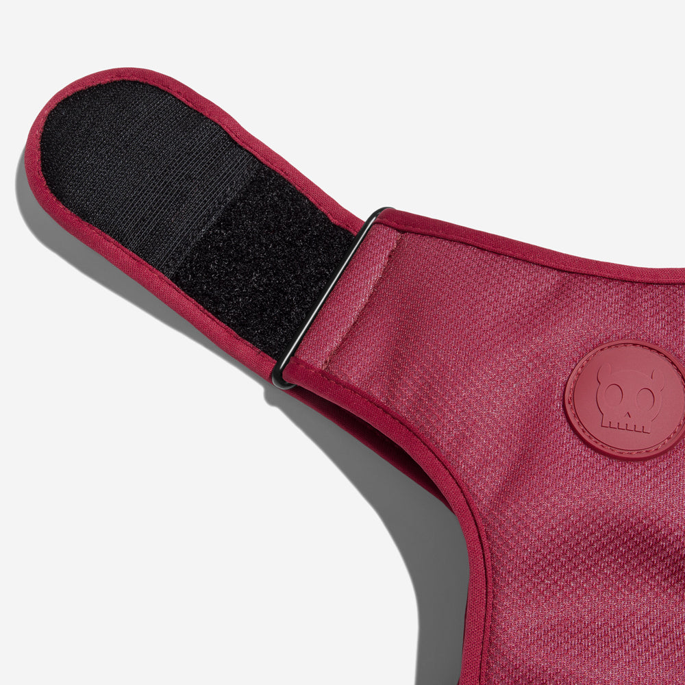BORDEAU ADJUSTABLE AIR MESH HARNESS