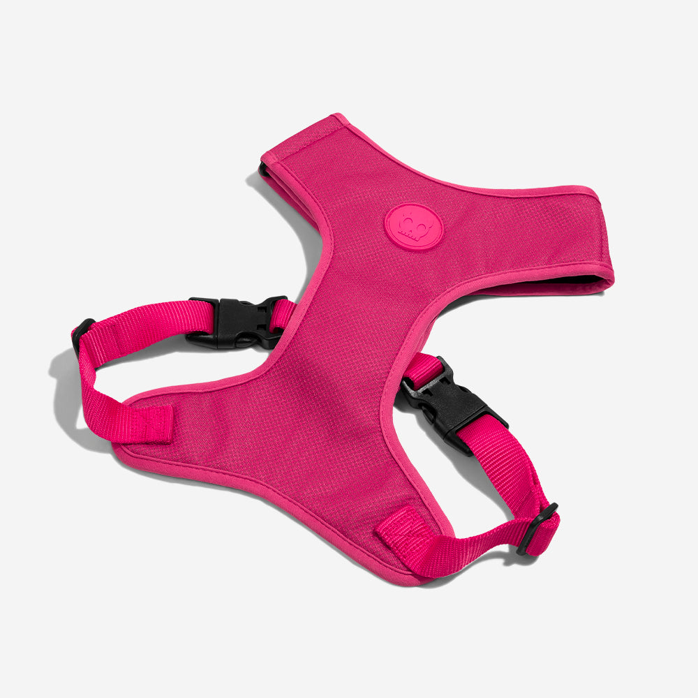 PINK LED ADJUSTABLE AIR MESH HARNESS
