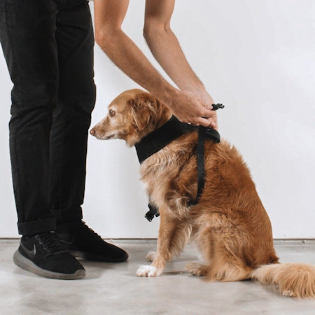 ELLA AIR MESH HARNESS