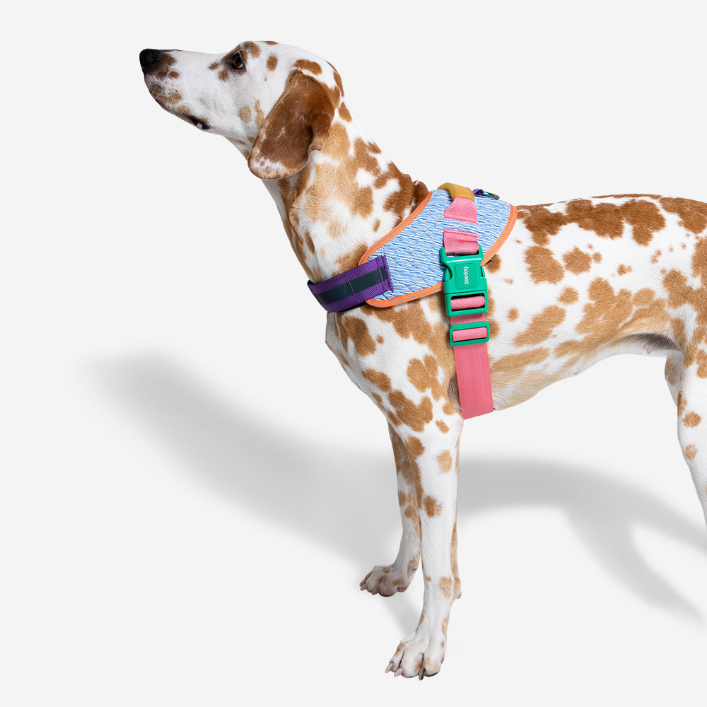GALAXY FLYHARNESS
