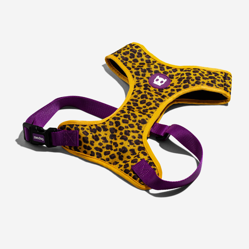 HONEY AIR MESH HARNESS