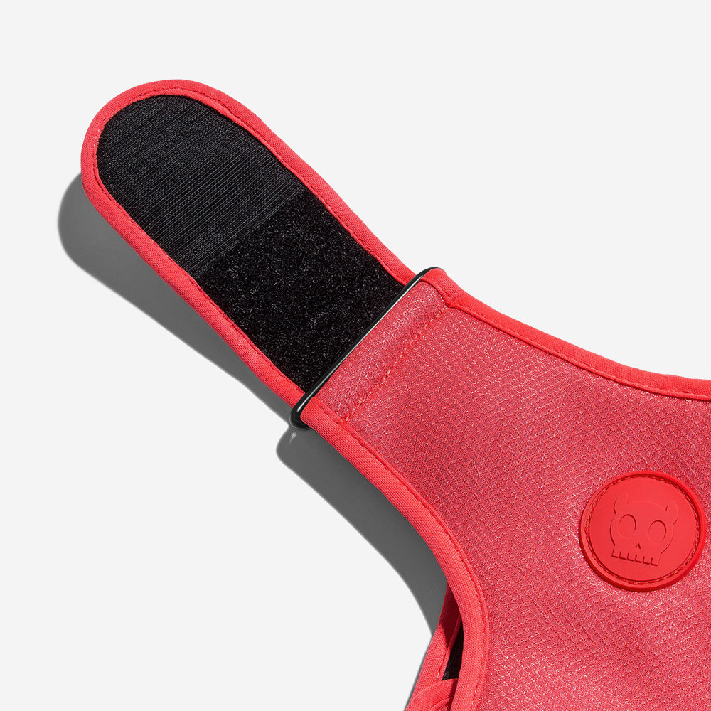 NEON CORAL ADJUSTABLE AIR MESH HARNESS