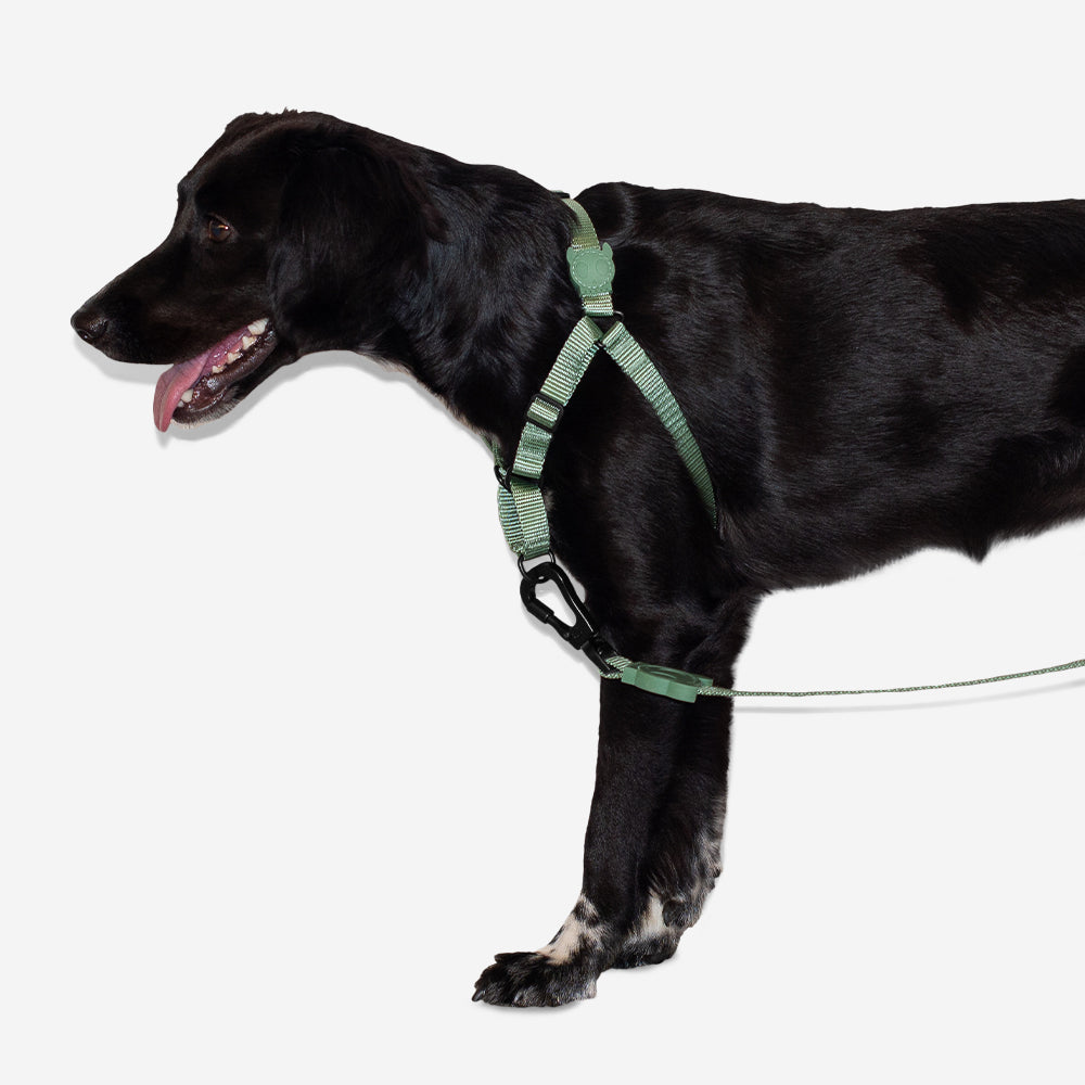 ARMY GREEN SOFT-WALK HARNESS