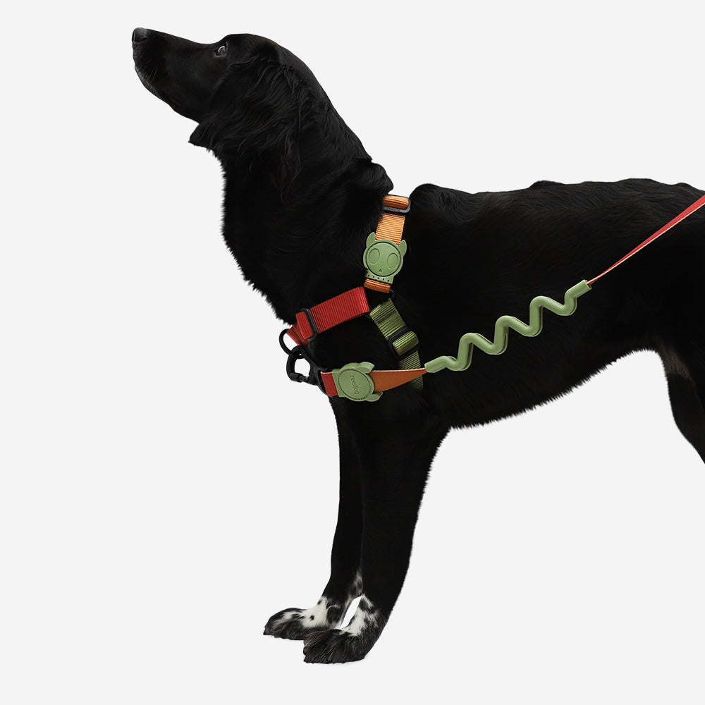 BIT SOFT-WALK HARNESS