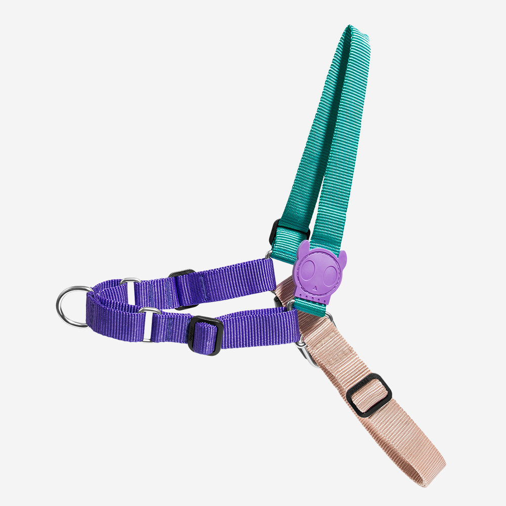 BOOGIE SOFT-WALK HARNESS