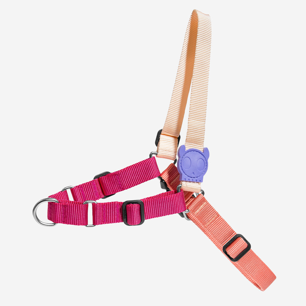 CINNAMON SOFT-WALK HARNESS