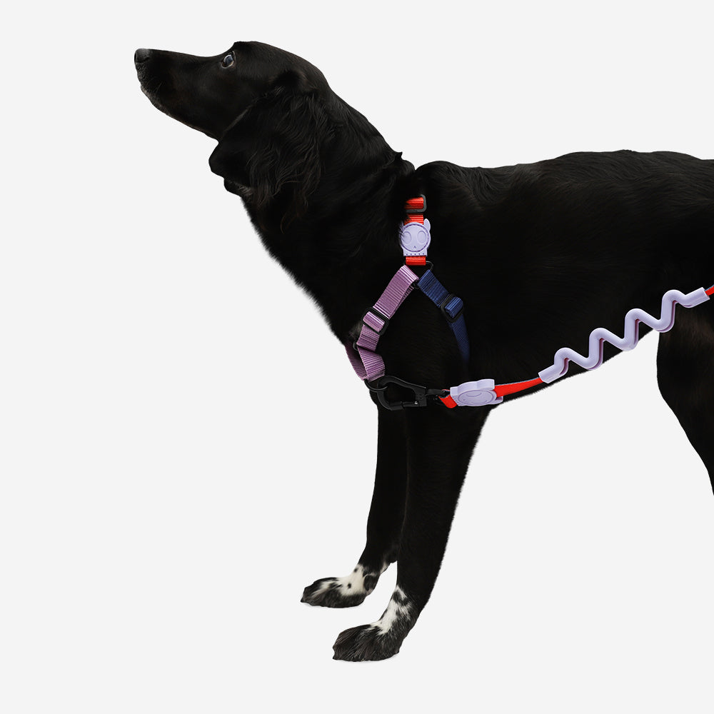 GENIE SOFT-WALK HARNESS