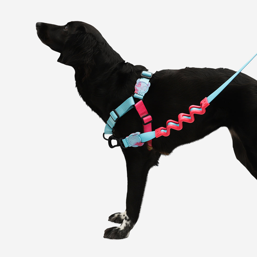 HYDRA SOFT-WALK HARNESS