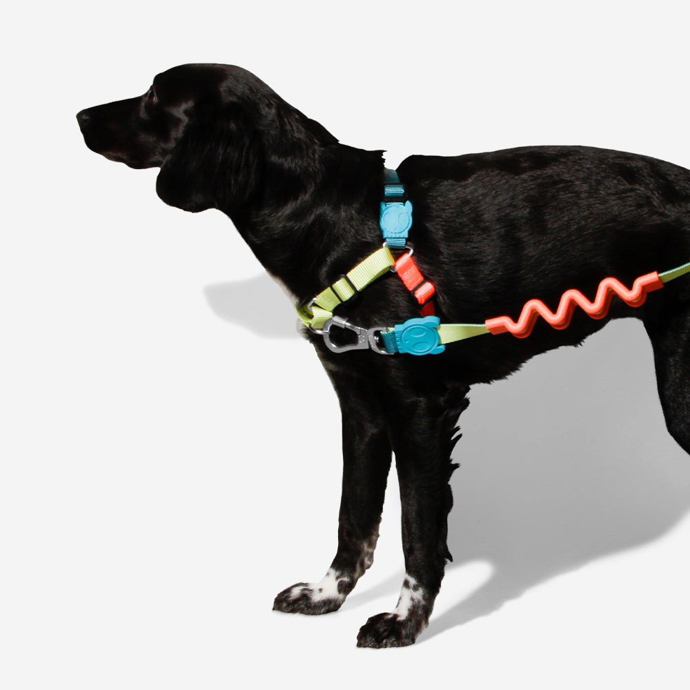 JUMPER SOFT-WALK HARNESS