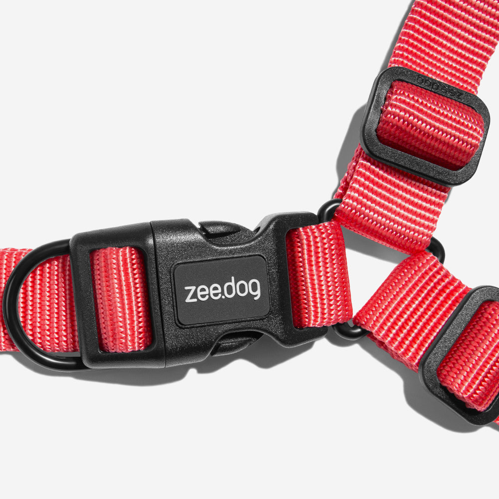 NEON CORAL SOFT-WALK HARNESS
