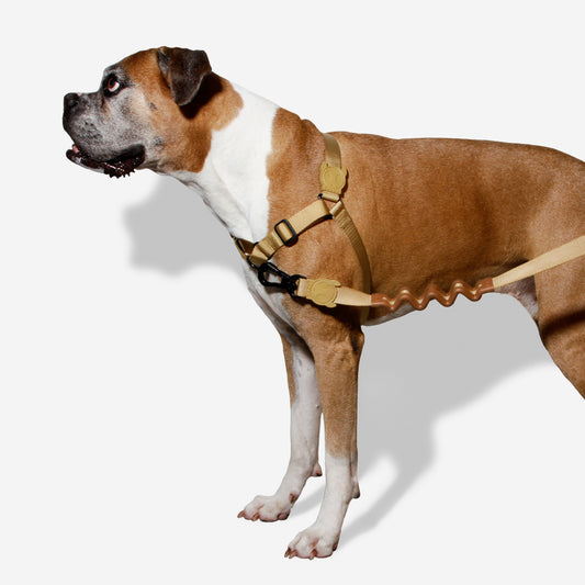 SAND SOFT-WALK HARNESS