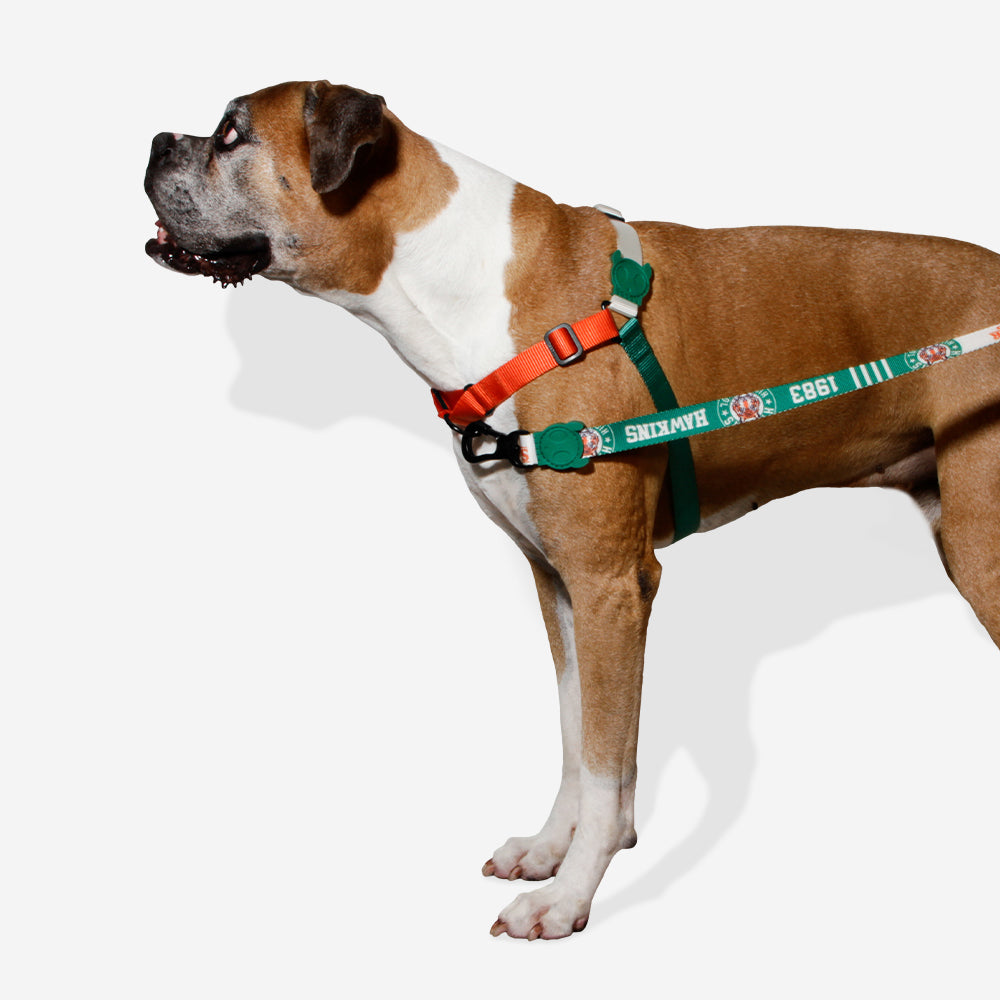 HAWKINS STRANGER THINGS SOFT-WALK HARNESS