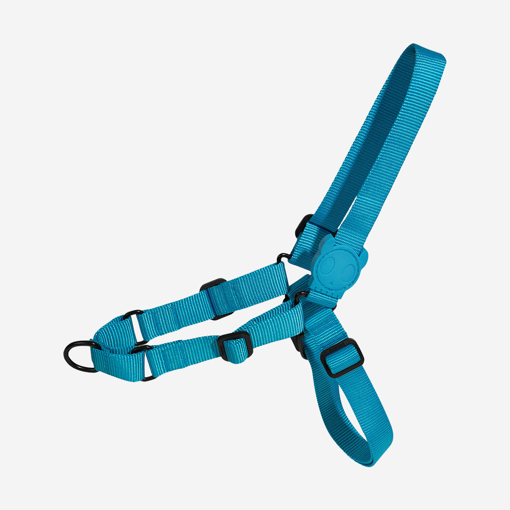 ULTIMATE BLUE SOFT-WALK