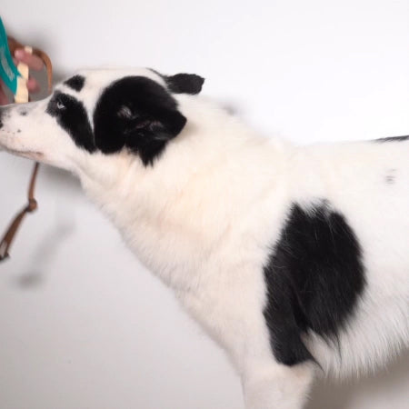 AVOCADO SOFTER WALK HARNESS