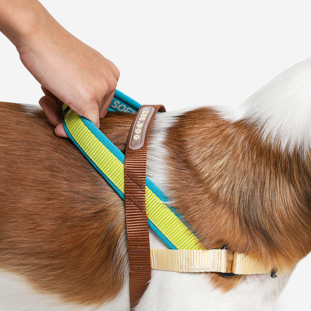 AVOCADO SOFTER WALK HARNESS