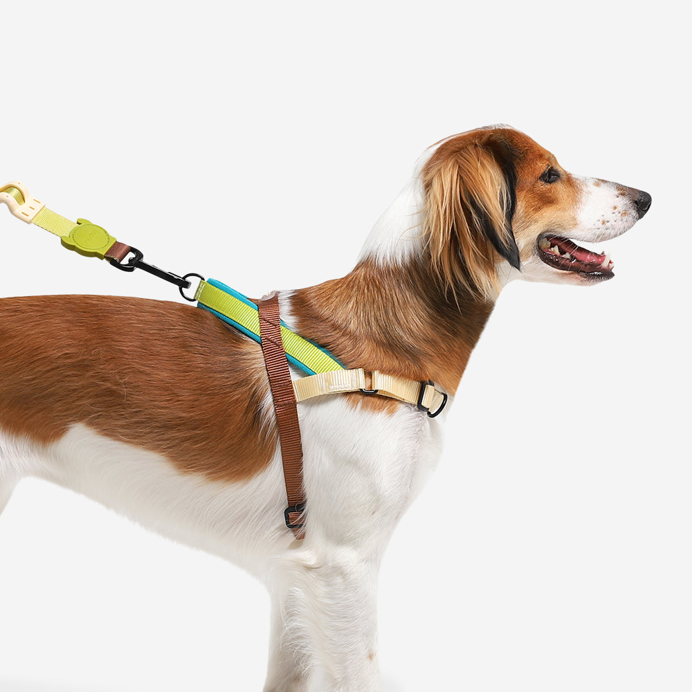 AVOCADO SOFTER WALK HARNESS