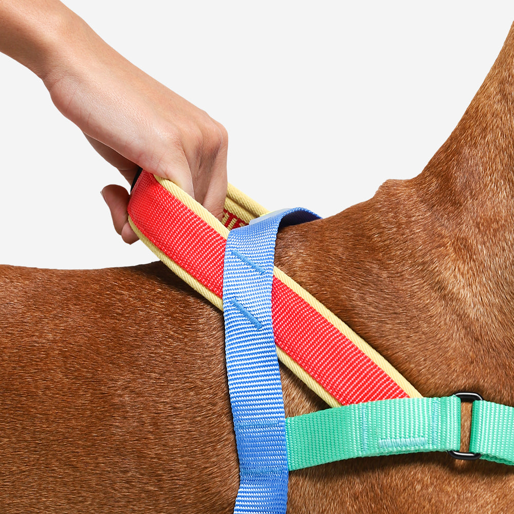 MELLOW SOFTER WALK HARNESS