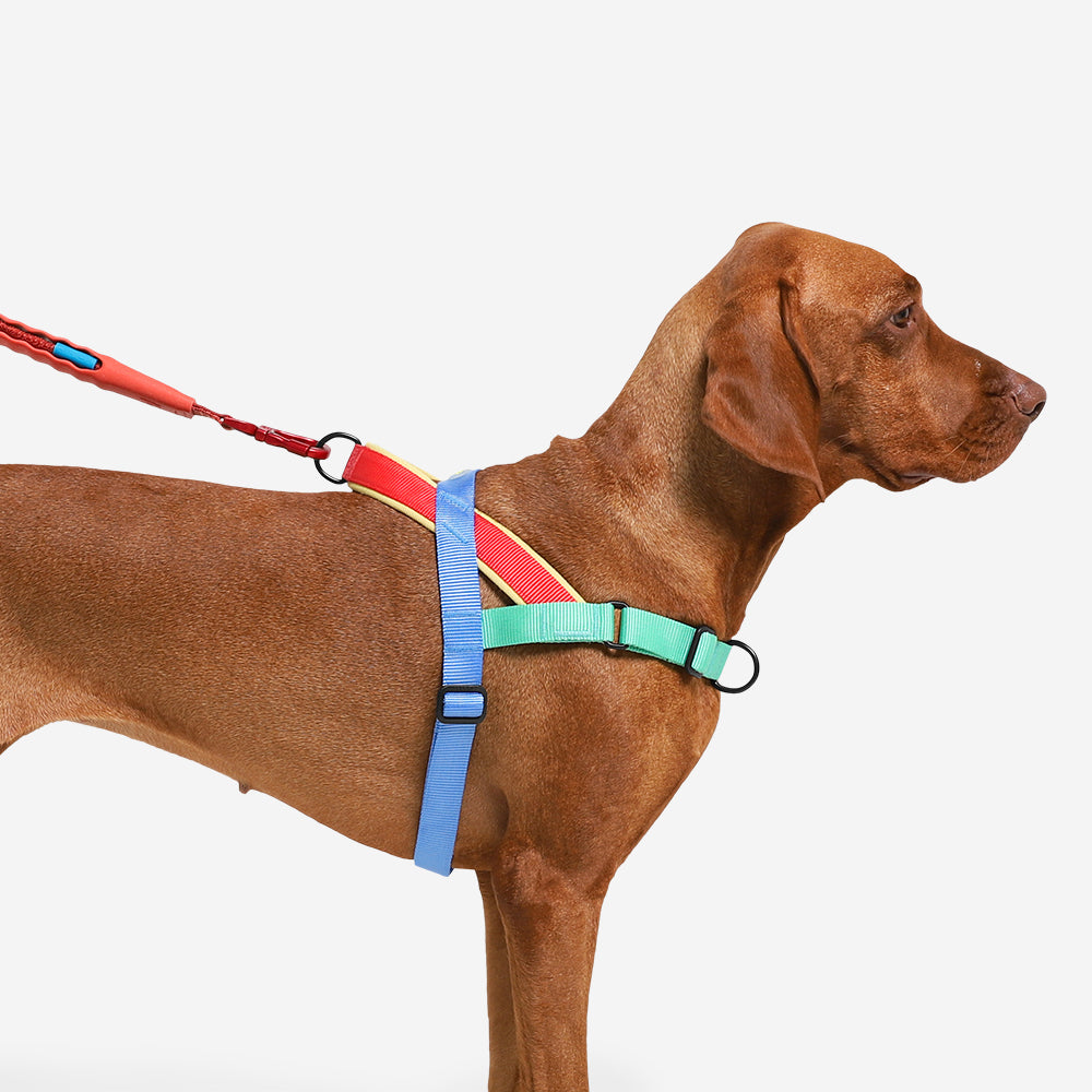 MELLOW SOFTER WALK HARNESS