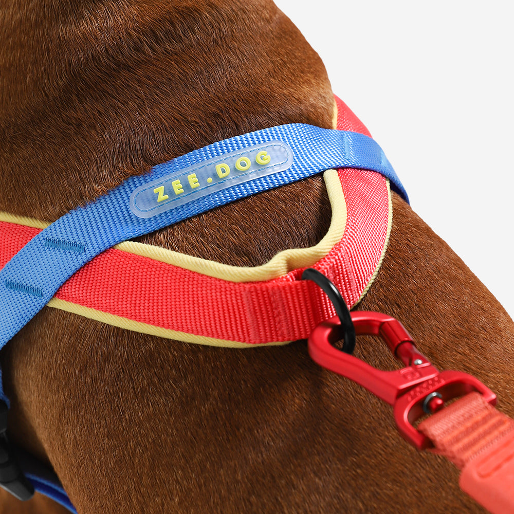 MELLOW SOFTER WALK HARNESS