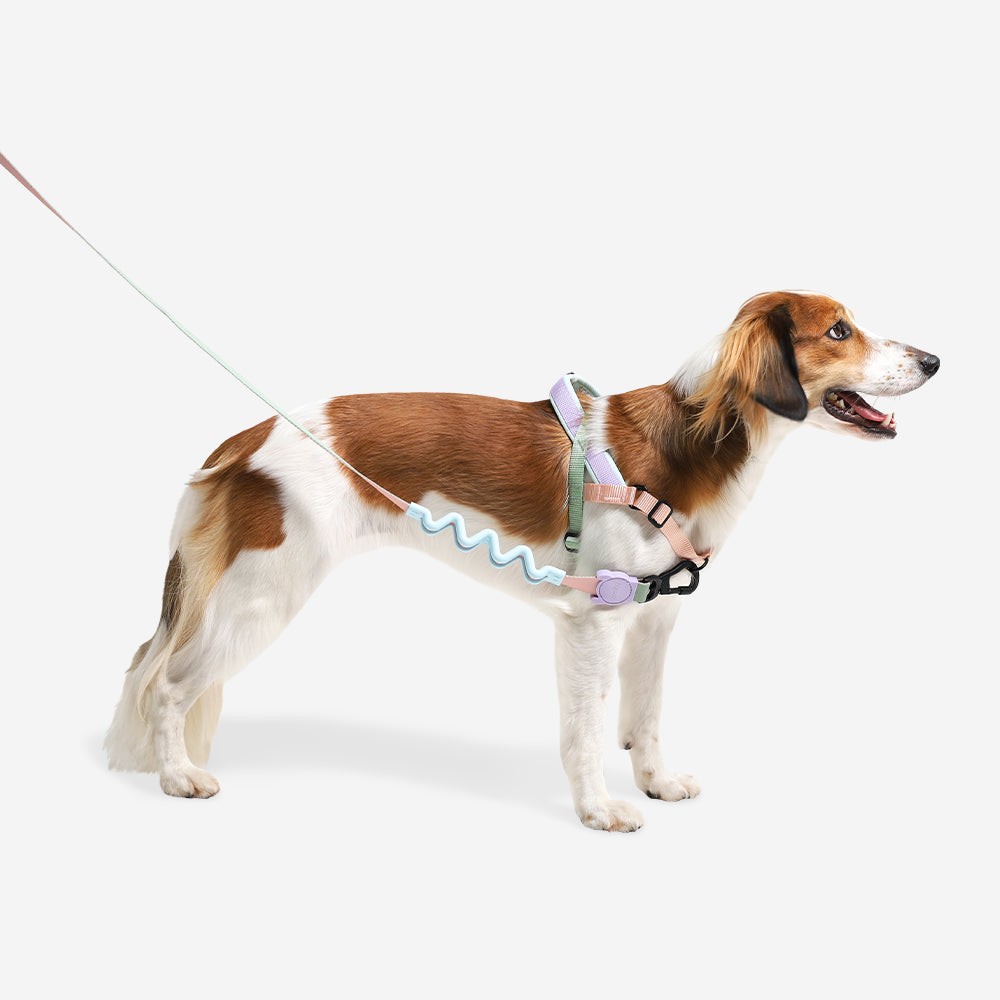 PEACH SOFTER WALK HARNESS