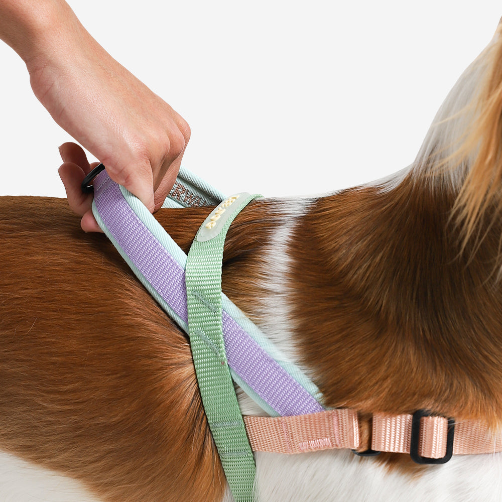 PEACH SOFTER WALK HARNESS