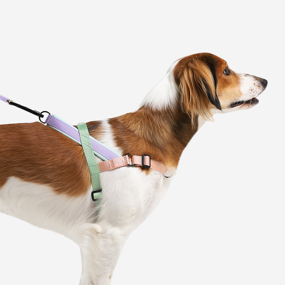 PEACH SOFTER WALK HARNESS