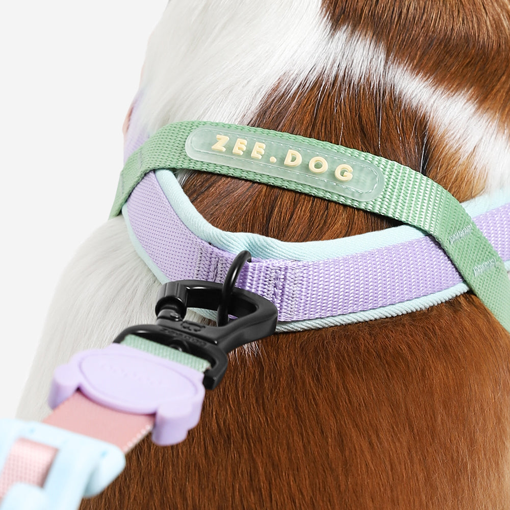 PEACH SOFTER WALK HARNESS