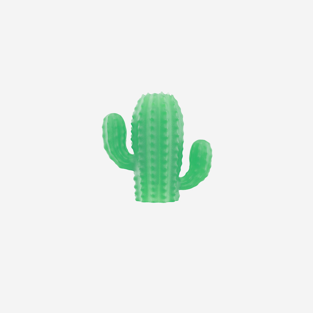 ZEE.PINZ CACTUS