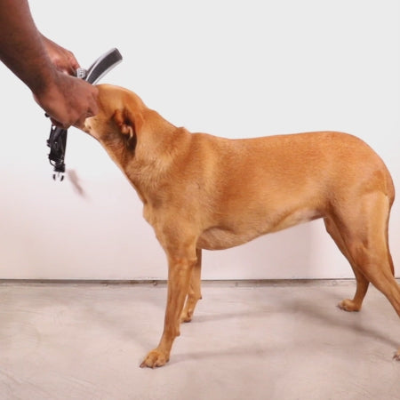 VOYAGE SOFTER WALK HARNESS