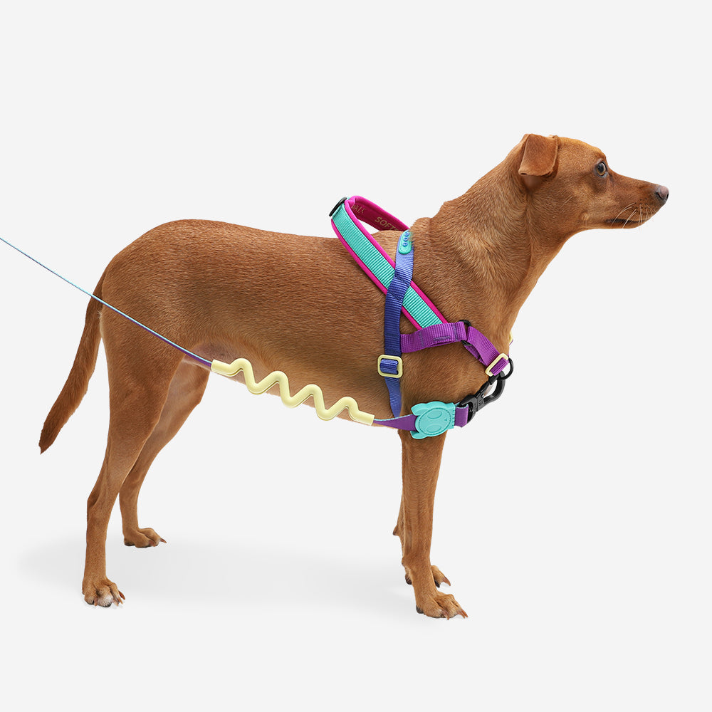 SHOCKWAVE SOFTER WALK HARNESS