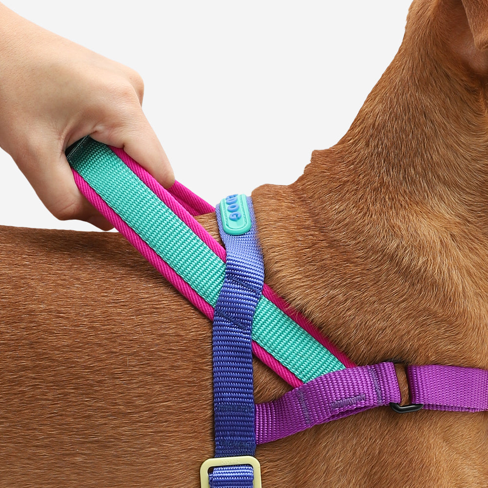 SHOCKWAVE SOFTER WALK HARNESS