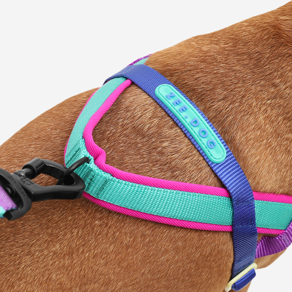 SHOCKWAVE SOFTER WALK HARNESS