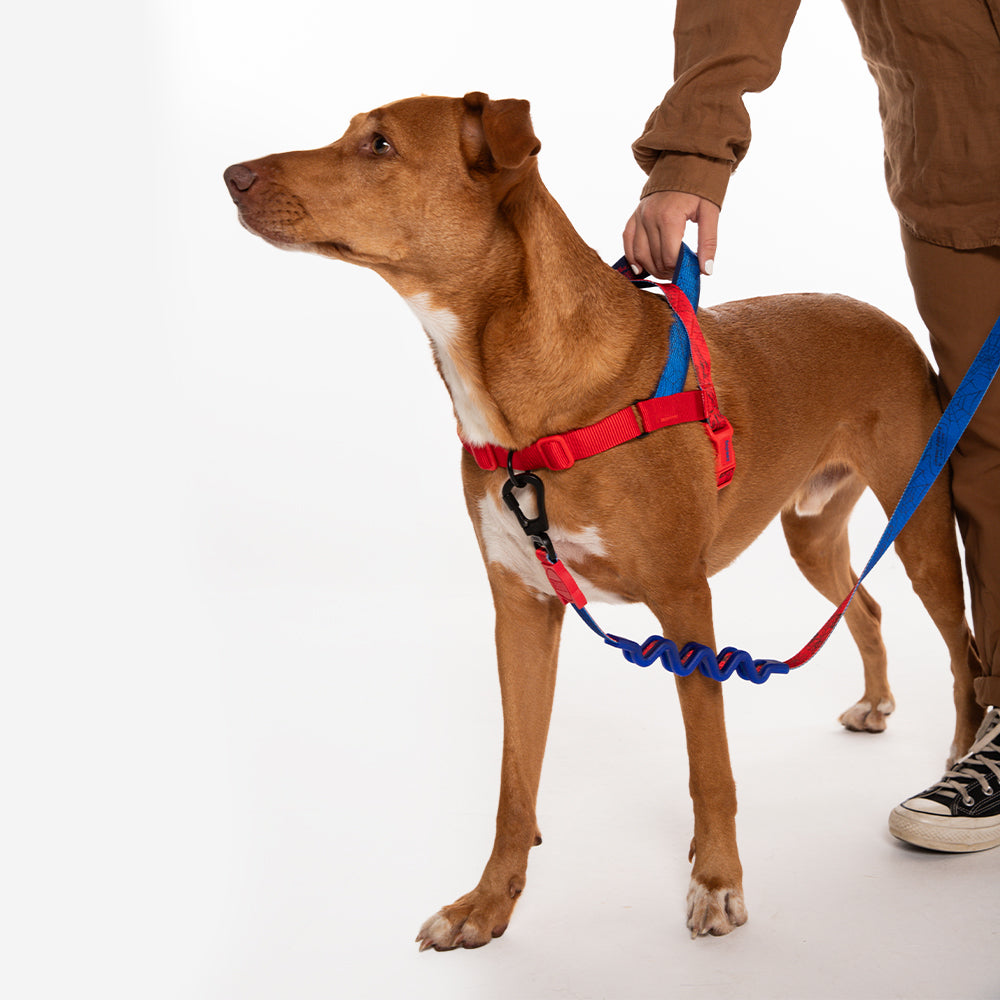 SPIDERMAN SOFTER WALK HARNESS