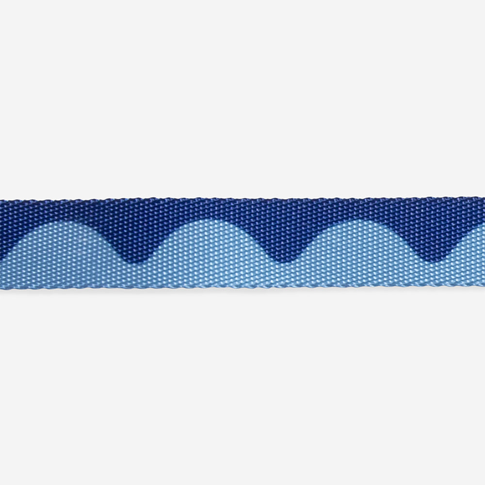 Swell Harness + Leash Set