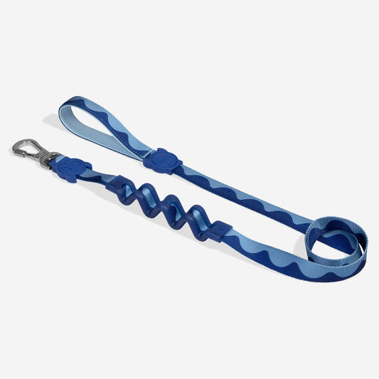 Swell Ruff Leash