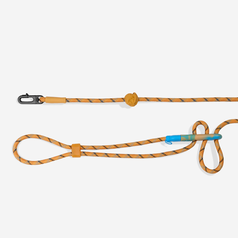 THE THING HANDSFREE LEASH