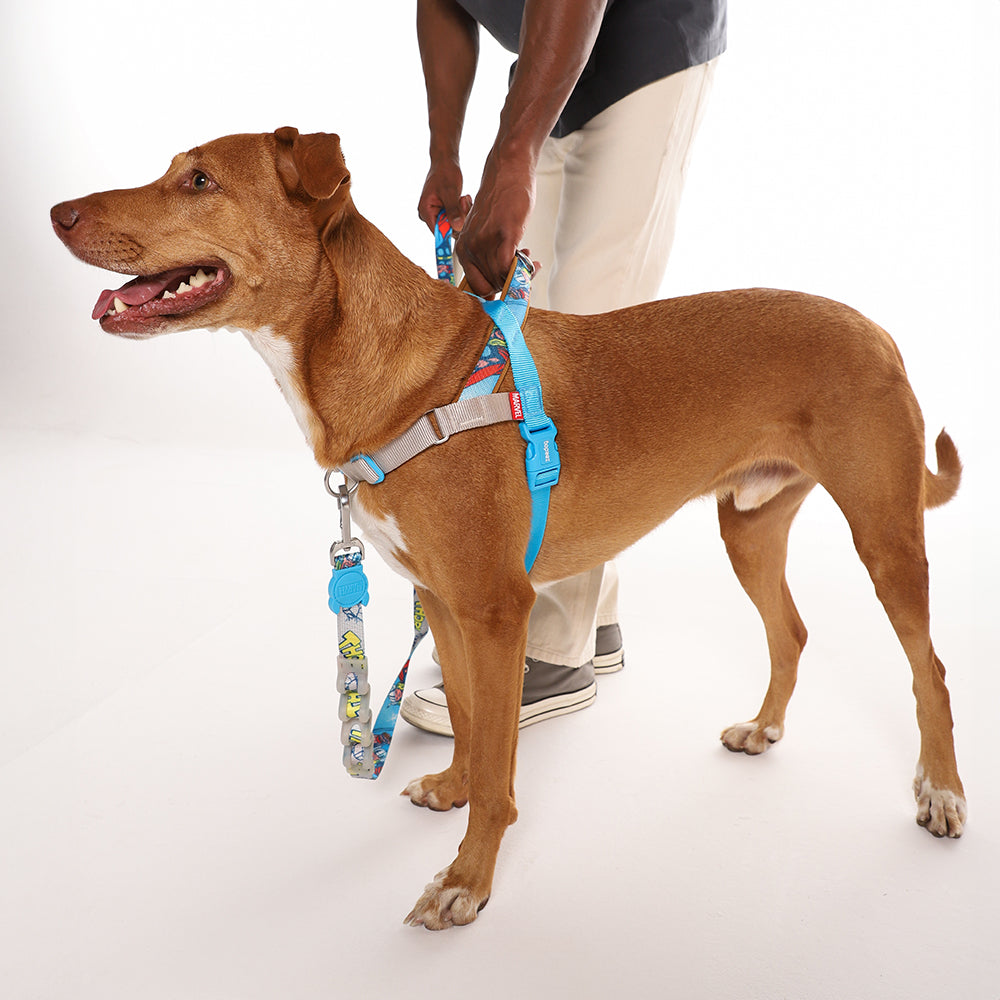 THOR SOFTER WALK HARNESS