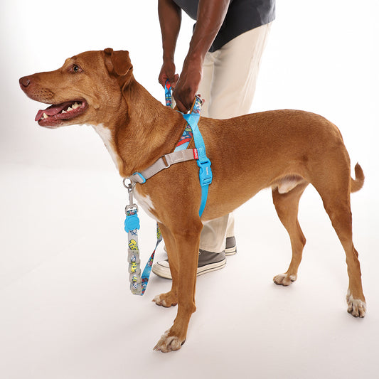 THOR SOFTER WALK HARNESS