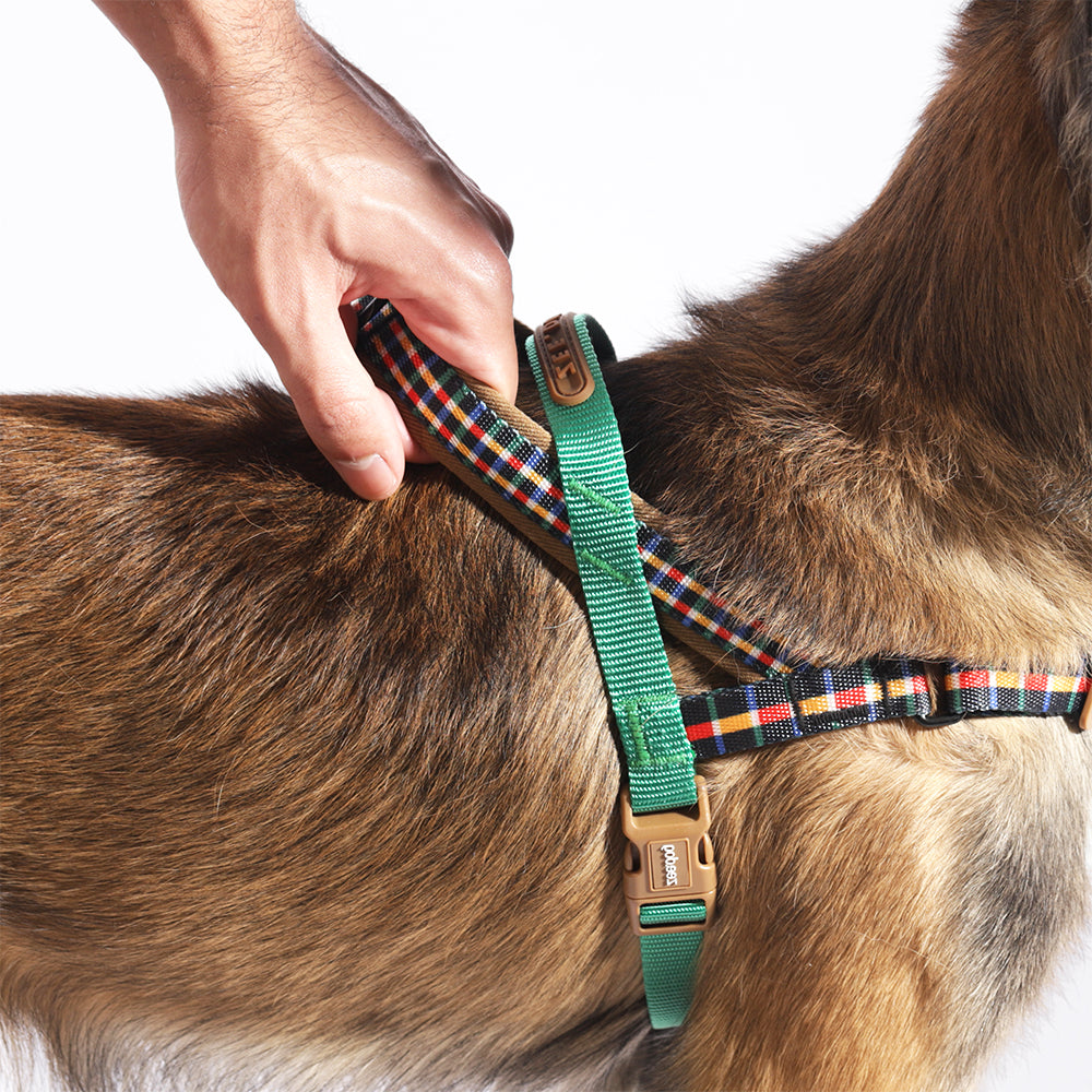 Travis Softerwalk Harness