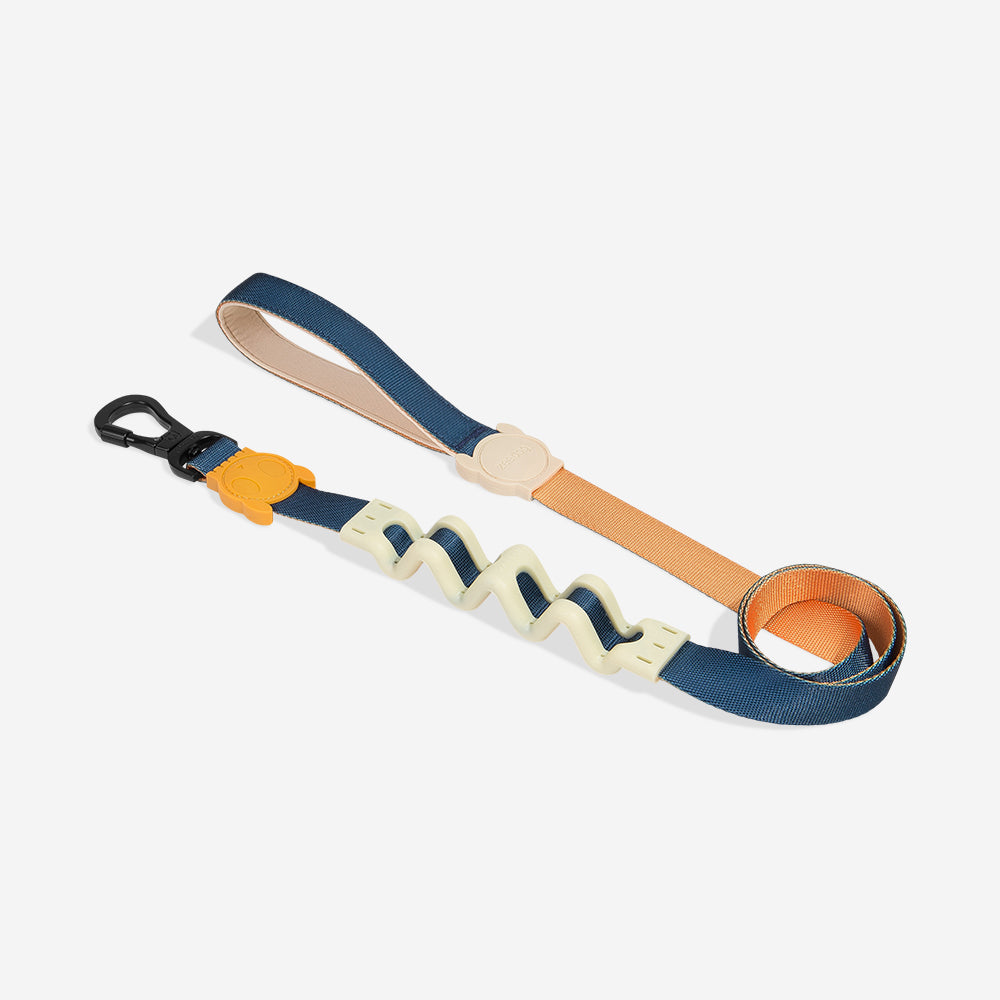 VOYAGE RUFF LEASH