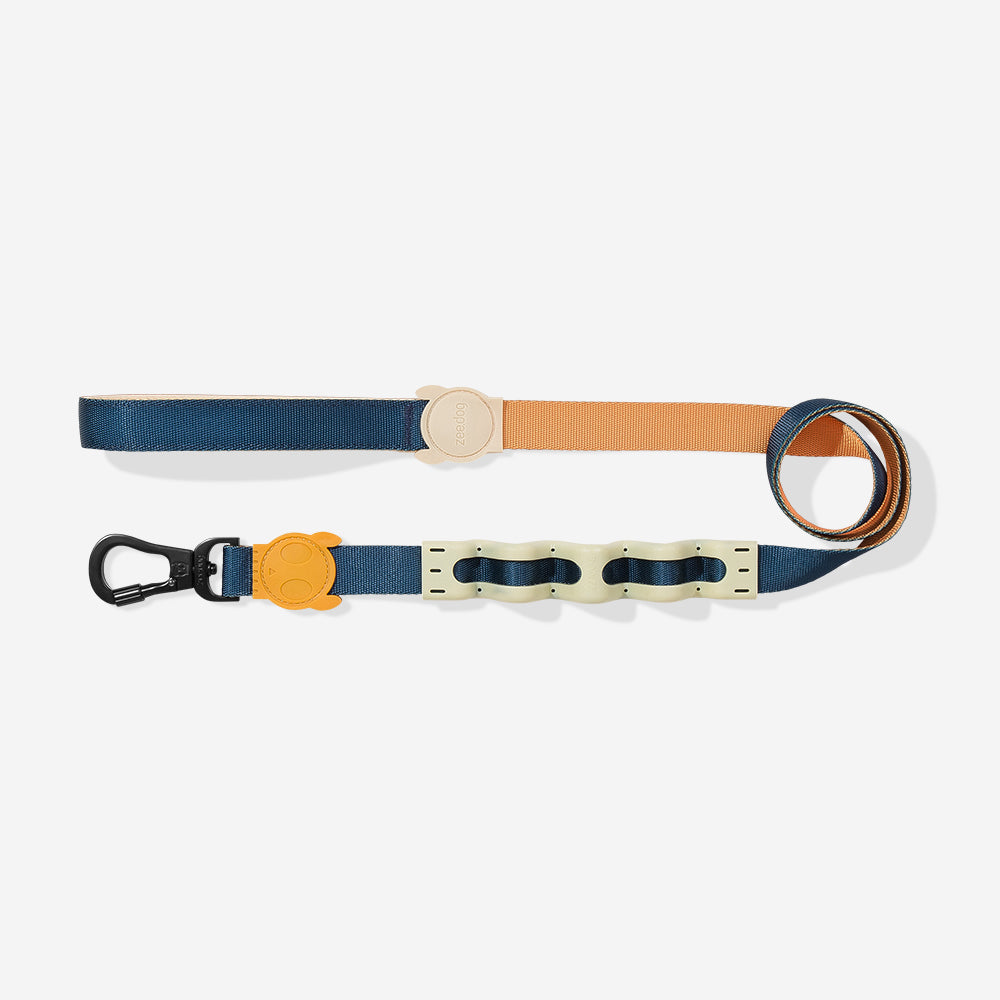 VOYAGE RUFF LEASH