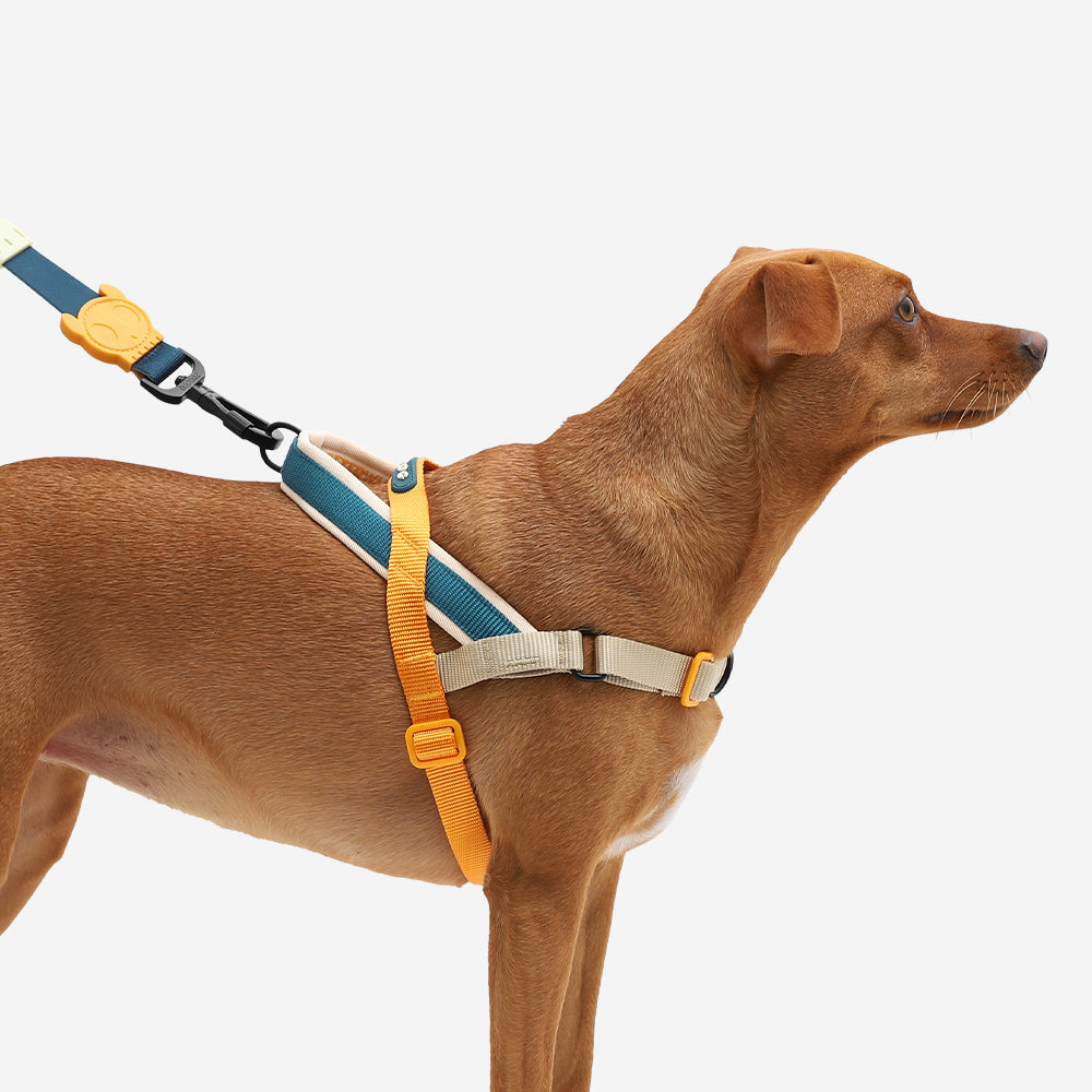 VOYAGE SOFTER WALK HARNESS