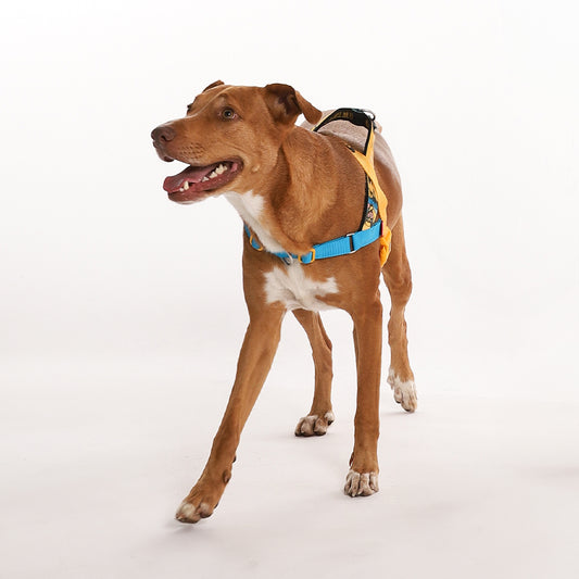 WOLVERINE SOFTER WALK HARNESS