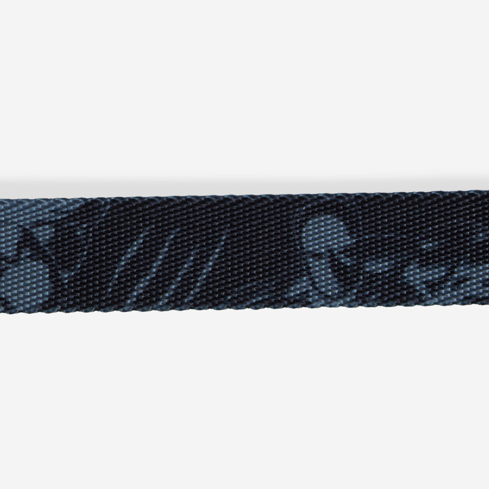 BLACK PANTHER COLLAR
